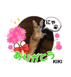 KIKI 挨拶（個別スタンプ：4）