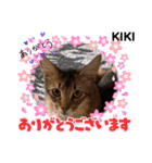 KIKI 挨拶（個別スタンプ：6）