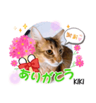 KIKI 挨拶（個別スタンプ：10）