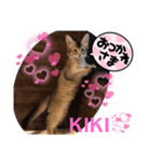 KIKI 挨拶（個別スタンプ：17）