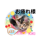 KIKI 挨拶（個別スタンプ：18）