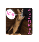 KIKI 挨拶（個別スタンプ：23）