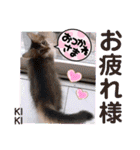 KIKI 挨拶（個別スタンプ：25）