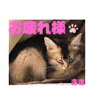KIKI 挨拶（個別スタンプ：26）