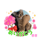 KIKI 挨拶（個別スタンプ：28）