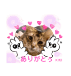 KIKI 挨拶（個別スタンプ：29）