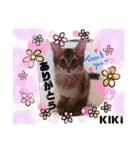 KIKI 挨拶（個別スタンプ：30）