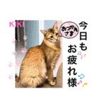 KIKI 挨拶（個別スタンプ：33）