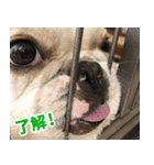 麦子のスタンプ（個別スタンプ：1）