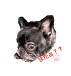 ゆずぴの小言（個別スタンプ：1）