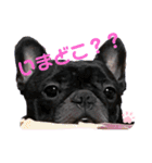 ゆずぴの小言（個別スタンプ：2）