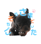 ゆずぴの小言（個別スタンプ：3）