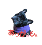 ゆずぴの小言（個別スタンプ：4）