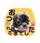ゆずぴの小言（個別スタンプ：9）