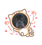 ゆずぴの小言（個別スタンプ：16）