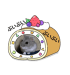 床の間ハムスターぴの子4〜とぼけ編〜（個別スタンプ：2）