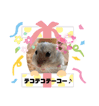 床の間ハムスターぴの子4〜とぼけ編〜（個別スタンプ：4）