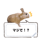 うさぎのおこげとつみれ 6（個別スタンプ：2）