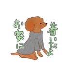 うにちゃんのLINEスタンプ（個別スタンプ：5）