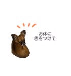 あん子スタンプ3（個別スタンプ：7）