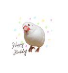 文鳥さくちゃん（個別スタンプ：9）