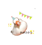文鳥さくちゃん（個別スタンプ：10）