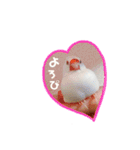 文鳥さくちゃん（個別スタンプ：12）