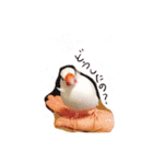 文鳥さくちゃん（個別スタンプ：15）