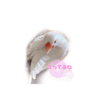 文鳥さくちゃん（個別スタンプ：20）