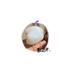 文鳥さくちゃん（個別スタンプ：30）