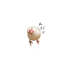 文鳥さくちゃん（個別スタンプ：31）