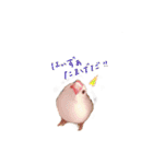 文鳥さくちゃん（個別スタンプ：35）