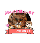 さび猫館の猫たち（個別スタンプ：28）