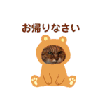 さび猫館の猫たち（個別スタンプ：37）