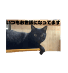 ラスタ＆ケビン‼️（個別スタンプ：2）