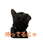 ラスタ＆ケビン‼️（個別スタンプ：7）