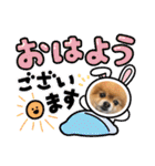 ポメラニアンのみる君です②（個別スタンプ：5）
