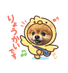 ポメラニアンのみる君です②（個別スタンプ：11）