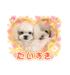 ポメラニアンのみる君です②（個別スタンプ：35）