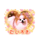 ポメラニアンのみる君です②（個別スタンプ：37）