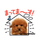 ポメラニアンのみる君です②（個別スタンプ：39）