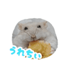 はむずだよ3（個別スタンプ：3）
