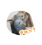 はむずだよ3（個別スタンプ：4）