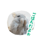 はむずだよ3（個別スタンプ：9）