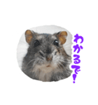はむずだよ3（個別スタンプ：11）