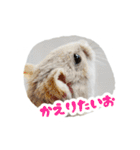 はむずだよ3（個別スタンプ：15）