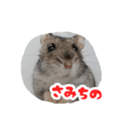 はむずだよ3（個別スタンプ：17）