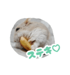 はむずだよ3（個別スタンプ：21）