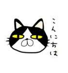 にゃんごろーと言う名の猫（個別スタンプ：3）