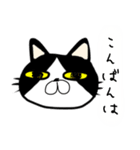 にゃんごろーと言う名の猫（個別スタンプ：4）